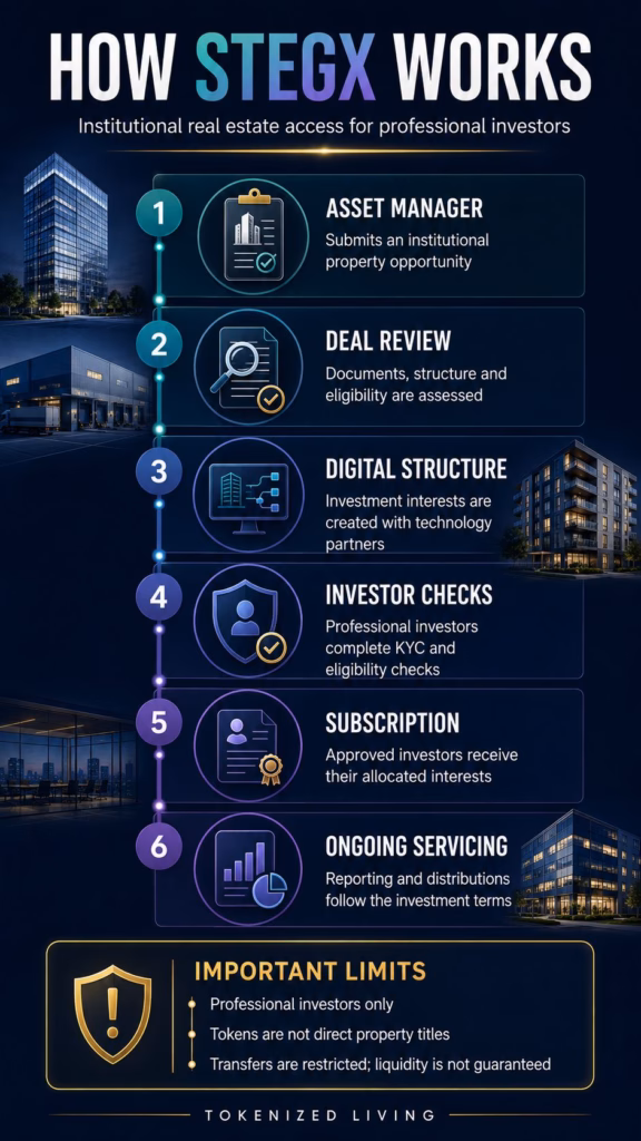 Infographic explaining StegX’s institutional real estate investment process, from deal review to investor servicing.