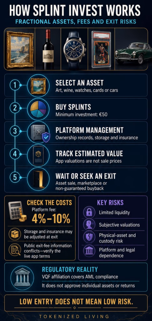 Infographic explaining Splint Invest’s fractional-asset process, €50 minimum, 4%–10% platform fee, valuation limits and exit risks.