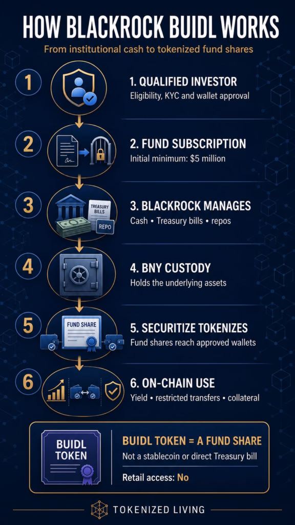 Infographic explaining how BlackRock BUIDL turns institutional cash and Treasury assets into tokenized fund shares